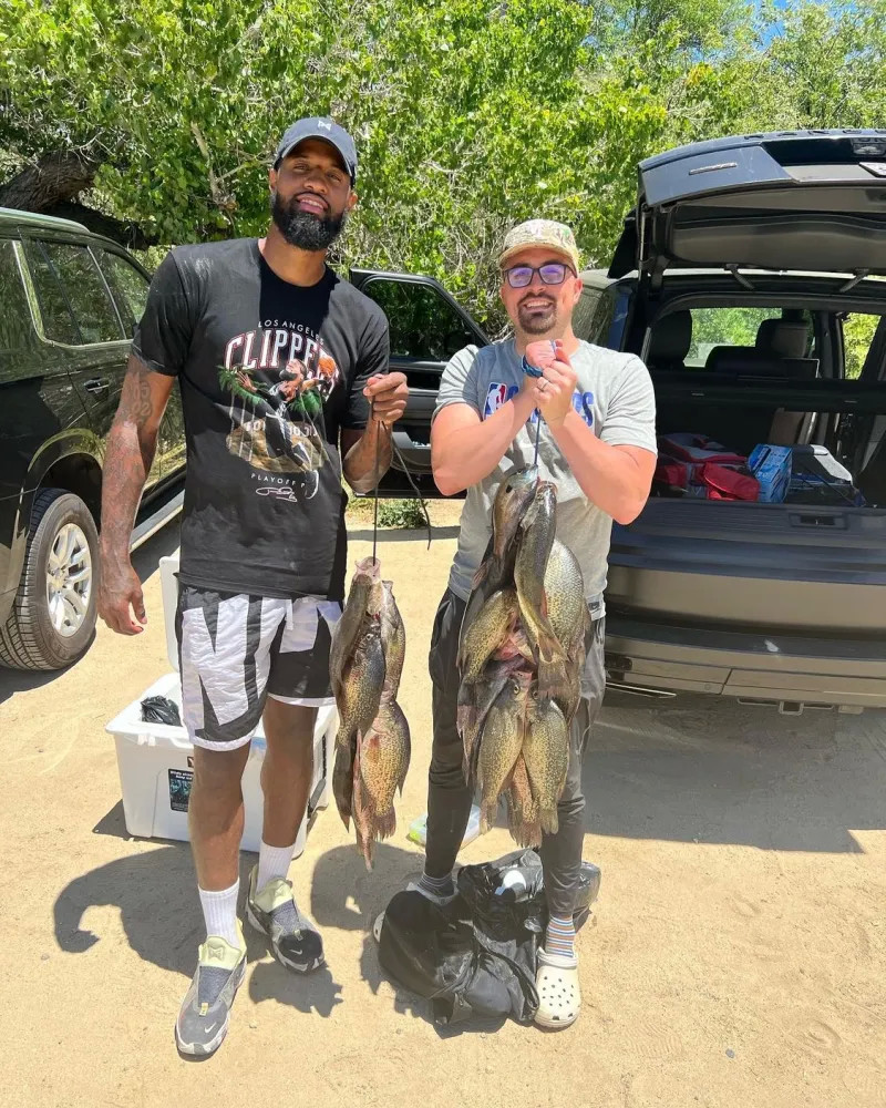 荐配图建议 荐配图建议