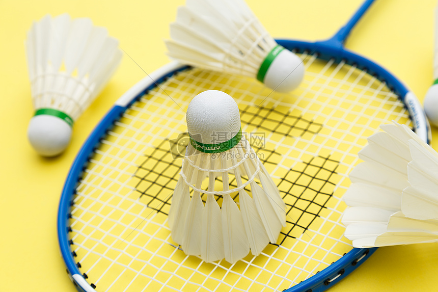 动都会被放 动都会被放